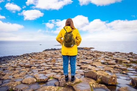 Giant's Causeway, Dark of Hedges & Belfast Day Tour From Dublin