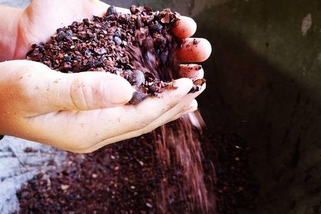 Chocolate and Coffee Tour Manuel Antonio