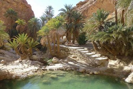 Half-day excursion the mountain oases from Tozeur