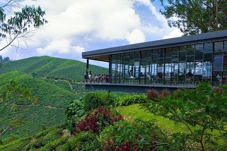 Full Day Cameron Highlands Nature Tour