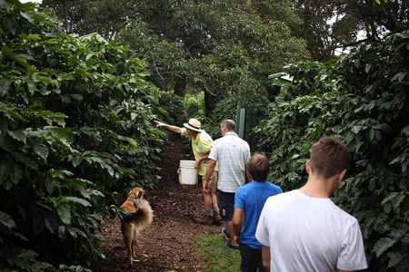 Small, Hands-on Coffee Tour 