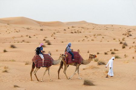 Dubai: Camel Desert Safari with Authentic Emirati Dinner
