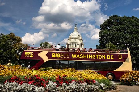 DC: Hop-On Hop-Off Bus Tour with Arlington Cemetery Audio Guide