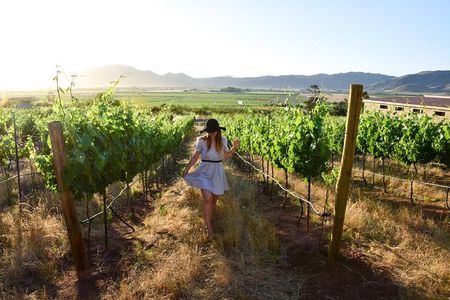 Wine tour valley of guadalupe