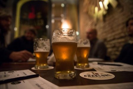 Craft Beer Adventure Colegiales