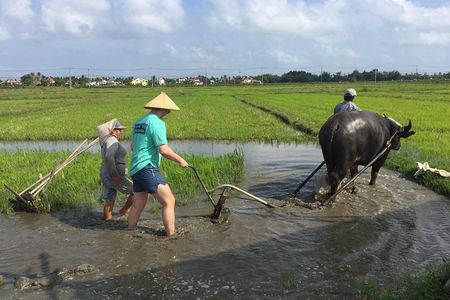 Hoi An Countrylife Tour Experience & Vietnamese Set Menu