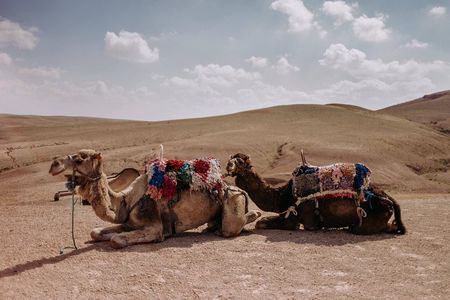 Desert Agafay & Atlas Mountains Day Trip from Marrakech (Min.2 p)