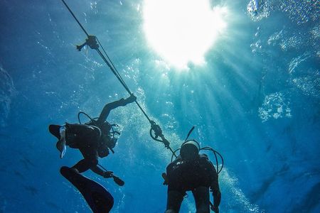 Full-Day Catalina Island Scuba Diving Tour from La Romana