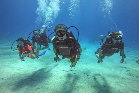 Full-Day Catalina Island Scuba Diving Tour from La Romana