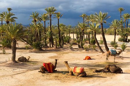 The Grand Tour Of Morocco