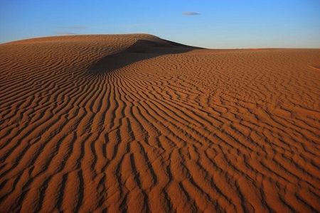 Gobi Tour May 2019 02-07 June
