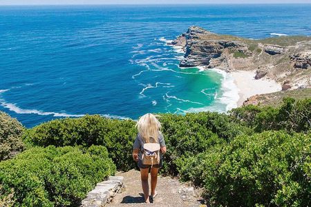 Cape Peninsula and Boulders Full Day Tour with Private Transfer