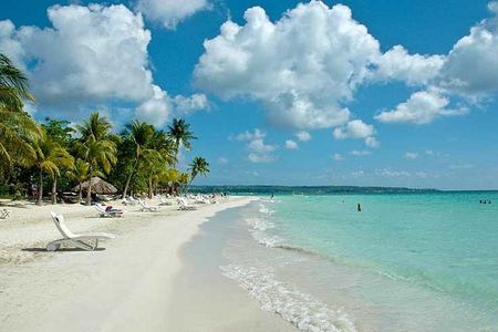 Seven Mile Beach and Rick’s Cafe Private Tour 