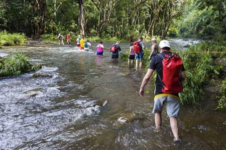 Wailua River Kayak and Sacred Falls Guided Hike with Lunch