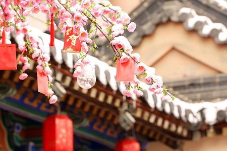 2-Day Private Classic Xi'an City Tour from Beijing by Bullet Train