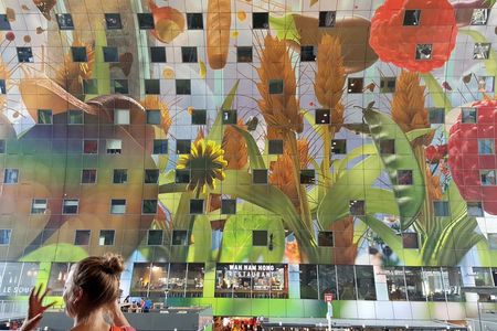 Rotterdam Bike Tour - all the Highlights