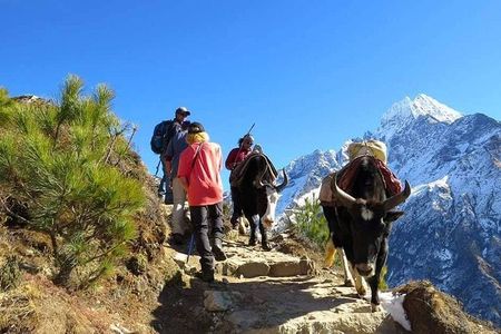 Everest Base Camp Trek