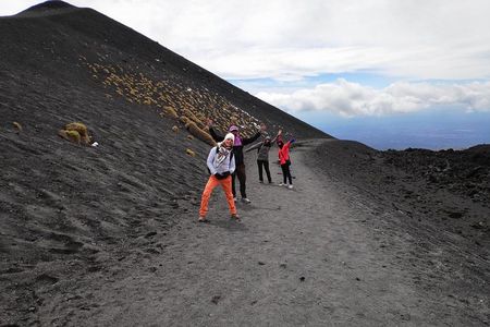 Mt. Etna nature and flavors half day Tour from Catania
