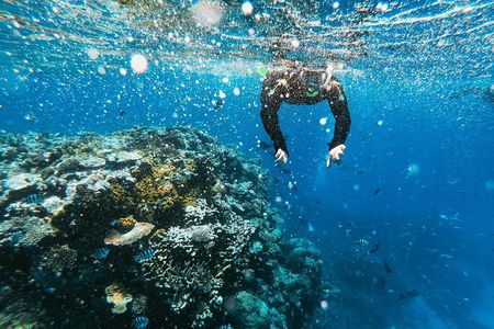 Snorkeling Adventure in La Jolla