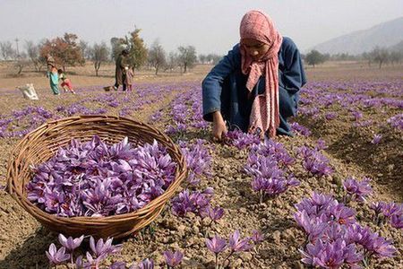 7 Days Romantic Kashmir Honeymoon Package with Houseboat Stay