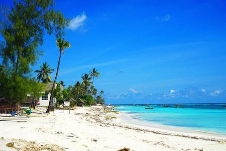Nungwi Village & Sea Turtle Swimming Tour with Transfer-Zanzibar