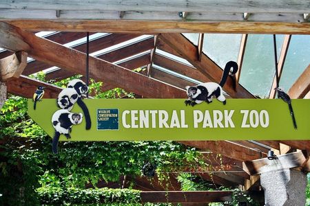 See 30 Top New York Sights (Walking Tour) & Visit Central Park Zoo. 