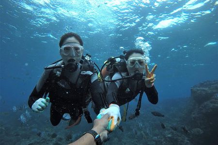 Blue Cave Area Experience Diving!Free feeding & photo images!English and Chinese speaking guide available!1 group with a dedicated instructor 