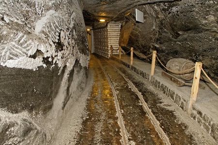 Auschwitz & Wieliczka ONE DAY Guided Tour +Private Transportation