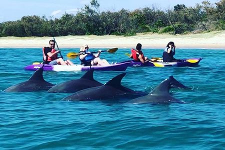 Gold Coast: Morning Kayak & Snorkel Adventure with Breakfast