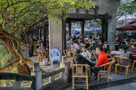 Private Day Tour: Chengdu Panda Base & downtown walking tour