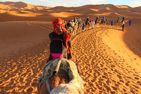 Fez to Marrakech Camel Trekking 3 days 2 Nights