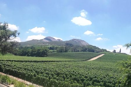 Private Full Day Tour in Cape Winelands