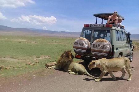 4: days Big five safari
