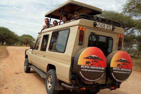 2 Days Tanzania Safaris