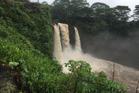 Volcanoes National Park Adventure Tour - Hilo Shore Excursion