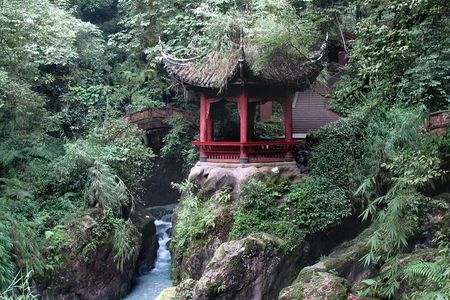 Leshan Grand Buddha & Mount Emei (Golden Summit) by high speed train 2 Day Tour