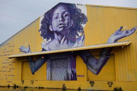 New Orleans Sightseeing City Tour 