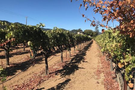 Wine Country Tour from San Francisco