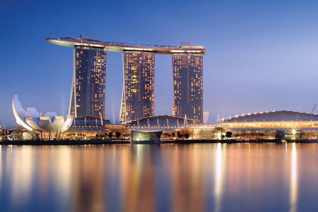 Lion City Night Out + Roundtrip Transfers