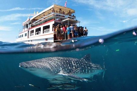 Fun Diving Safari Day Trip From Koh Lanta - Certified Divers