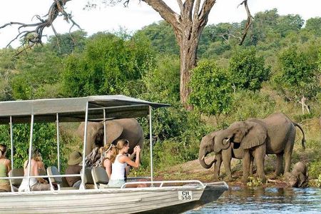 Chobe Full Day Trip