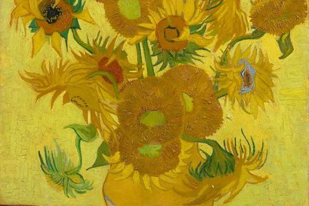 Amsterdam: Van Gogh Museum Entry & 75 minute City Canal Cruise