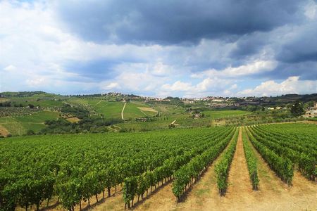 Chianti Wine Tour with Tuscan Lunch Open Top Van