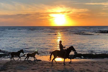 Private tours and transfer Costa Rica