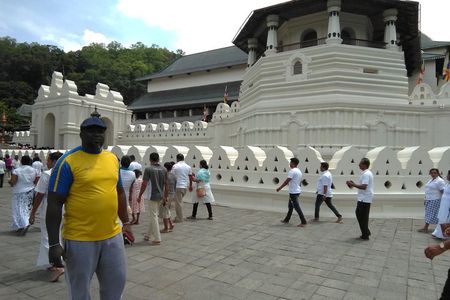 Private all inclusive Day tour Kandy, Pinnawala, & your own selected attractions