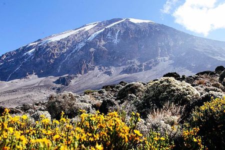 5 Days Marangu Route - Mount Kilimanjaro Trek
