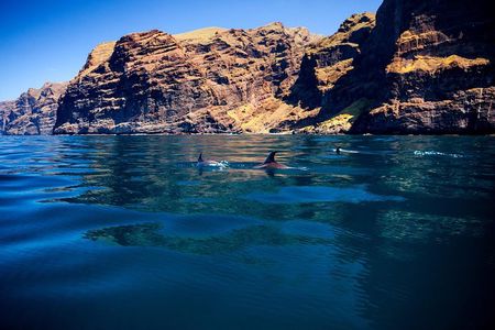 5 hr watching and listening whales and dolps. Visit Los Gigantes