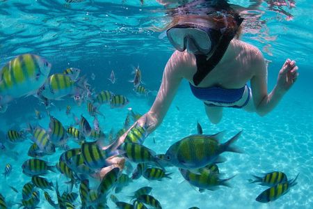 Sail/Snorkel Adventure from Sapphire Marina,STT NO CROWDS~ 6 GUEST MAX 