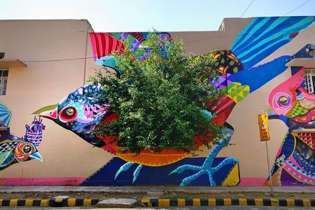Old Delhi with Lodhi Art District