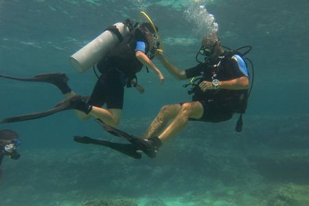 Mallorca: Try Scuba Diving in a Beautiful Nature Reserve